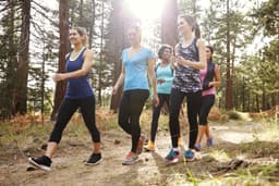 Exercise Programming